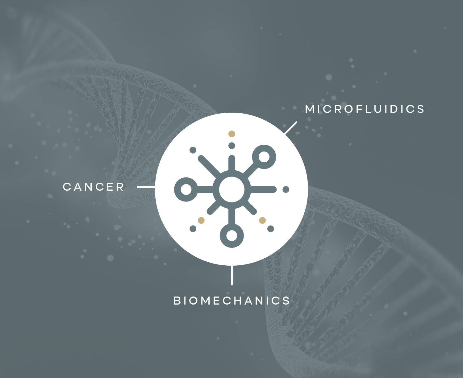 Bioengineering Studies in Metastatic Cancer